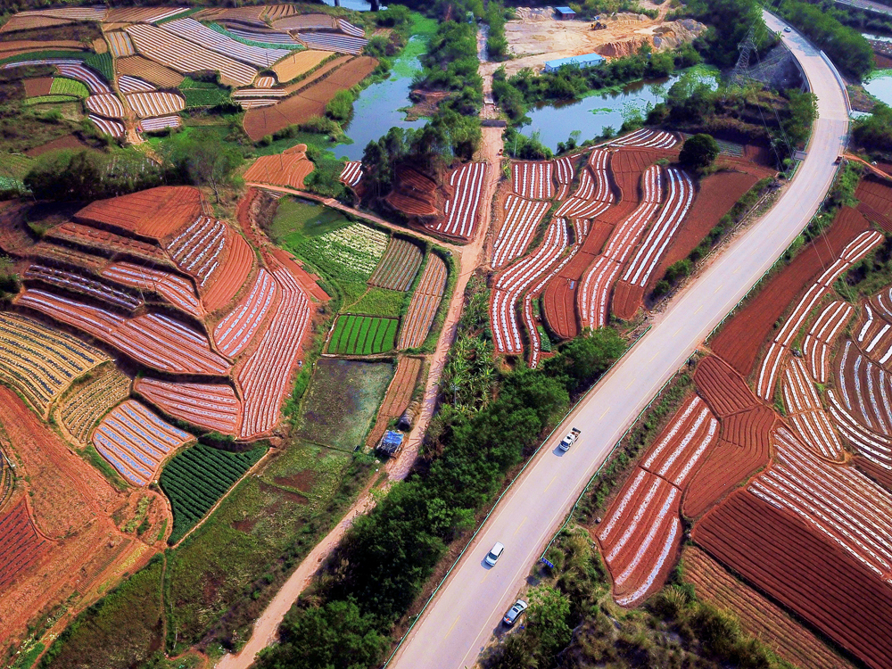 公路上的春天——S513线K8路段